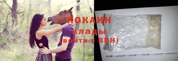ПСИЛОЦИБИНОВЫЕ ГРИБЫ Гусев