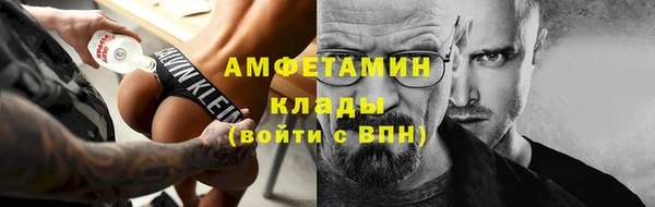 твердый Горняк