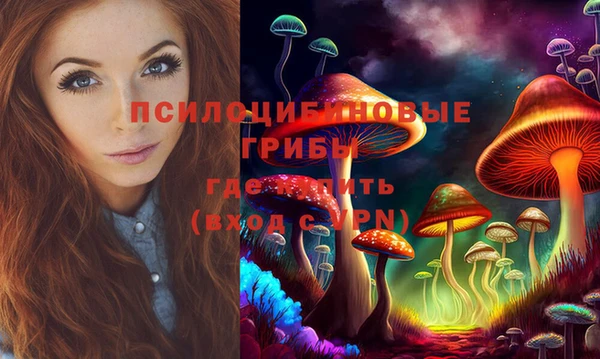 индика Гусиноозёрск