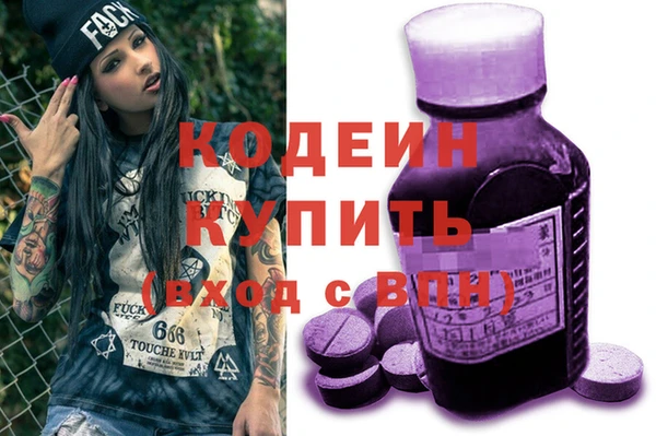индика Гусиноозёрск