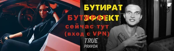 индика Гусиноозёрск