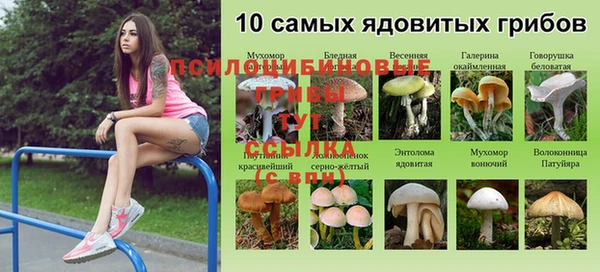 мескалин Горнозаводск