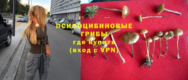 ПСИЛОЦИБИНОВЫЕ ГРИБЫ Гусев
