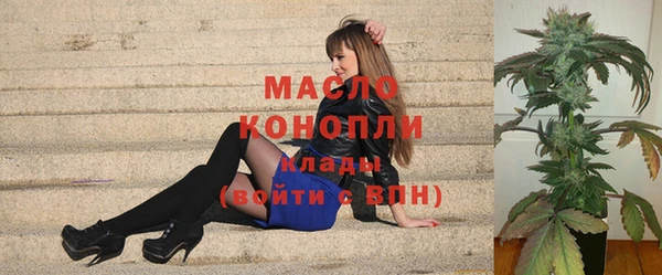 твердый Горняк
