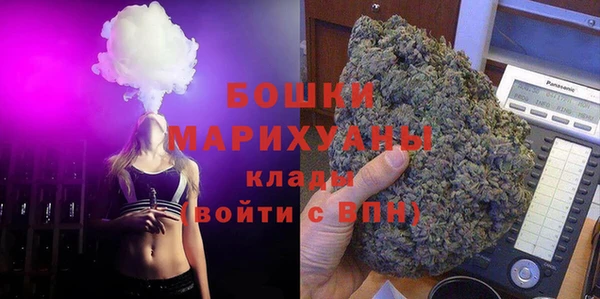 бутират Гусь-Хрустальный