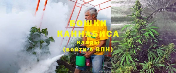 твердый Горняк