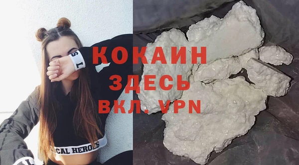 индика Гусиноозёрск