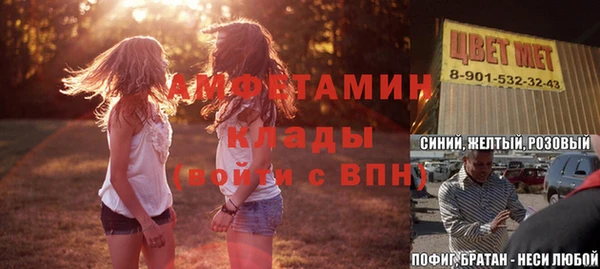 ПСИЛОЦИБИНОВЫЕ ГРИБЫ Гусев