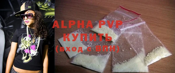 ПСИЛОЦИБИНОВЫЕ ГРИБЫ Гусев